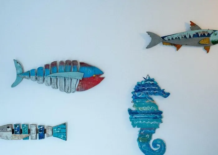 Il Cappero San Giovanni (Isola d'Elba)